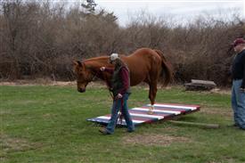 LR-WRF 0402026 Retreat-3585